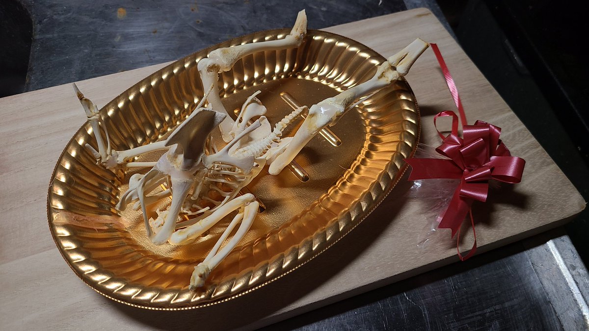 間違えて綺麗に食いすぎた 