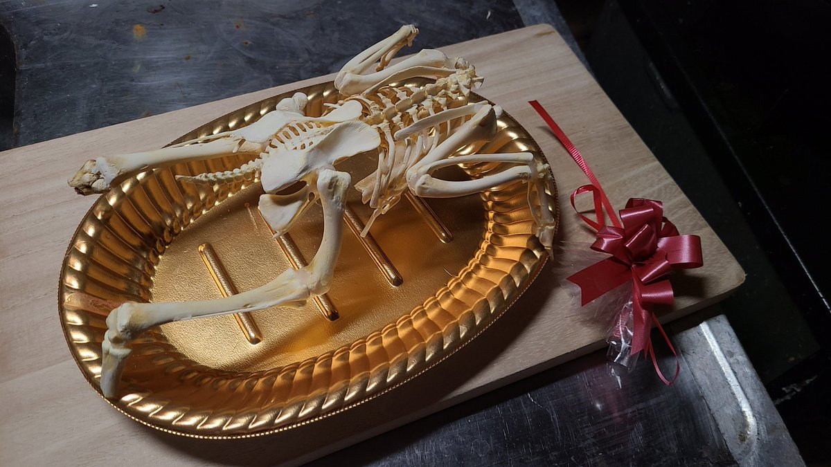 間違えて綺麗に食いすぎた 