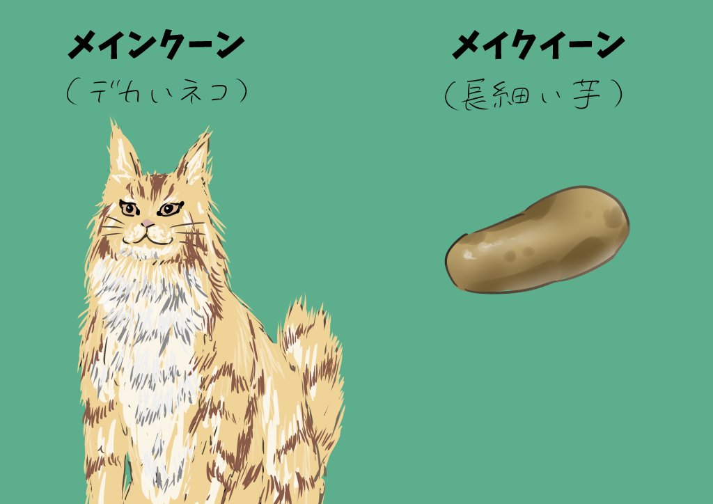 覚えていて欲しいこと 