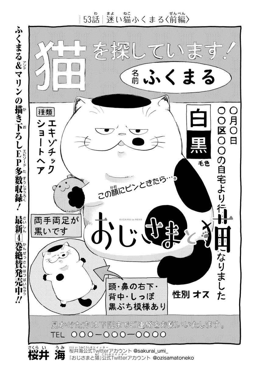 【おじさまと猫　５３話】　迷い猫ふくまる 本編の５３話が更新しました