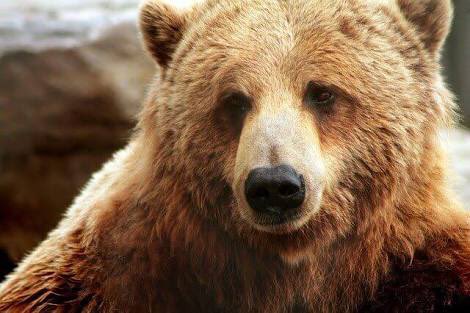 「ミッドサマー」は写真4枚で表現するとしたらこんな感じでした