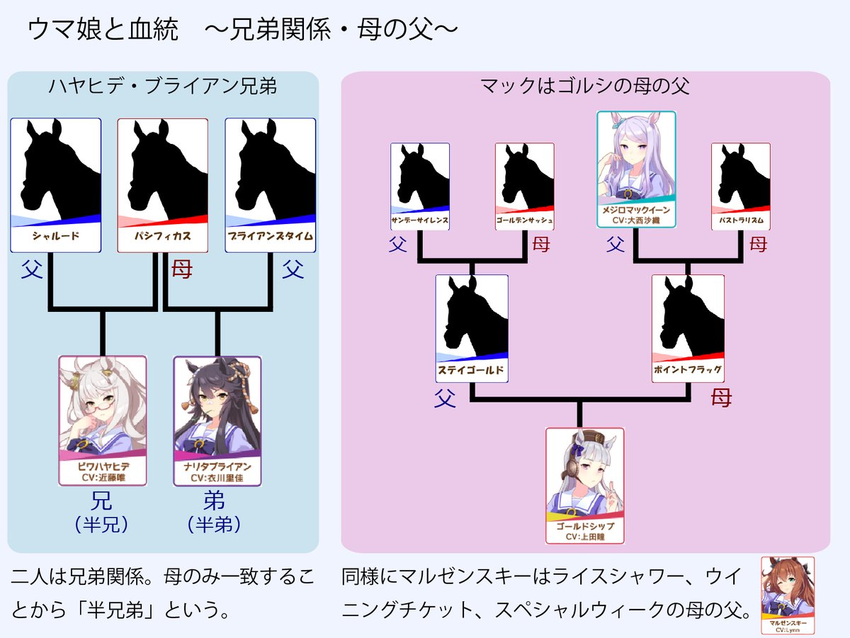 ウマ娘同士の関係性について、今回は元となる競走馬の血統上の繋がりからまとめてみました ルドルフとテイオー、マックイーンとゴルシ、ハヤヒデとブライアンの関係などはここからきていると思われます 血統を知れば知るほど面白くなるウマ娘（競走馬）の世界