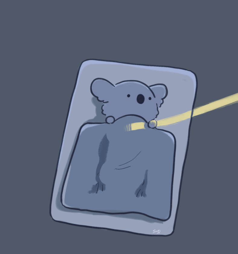 うまく眠れず翌日のしんどさを覚悟するコアラ 