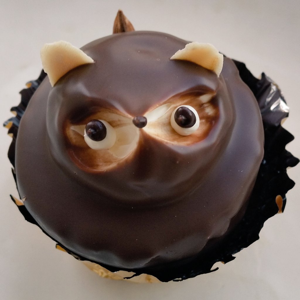 俺の超絶可愛いたぬきケーキを見てくれ #たぬきケーキ 