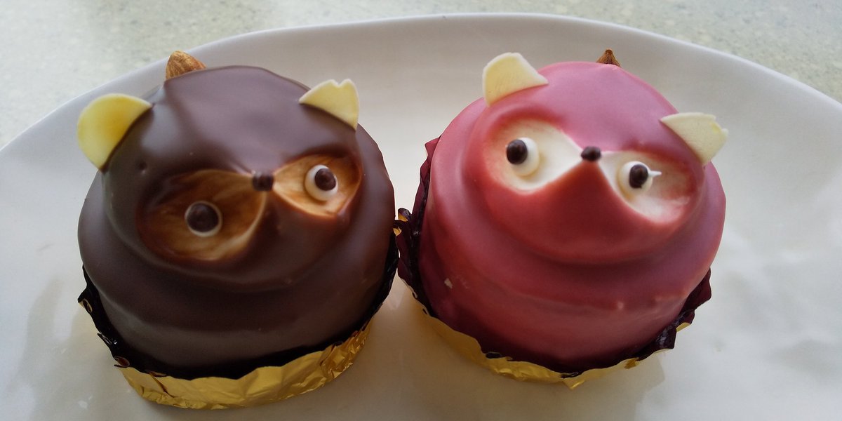 俺の超絶可愛いたぬきケーキを見てくれ #たぬきケーキ 