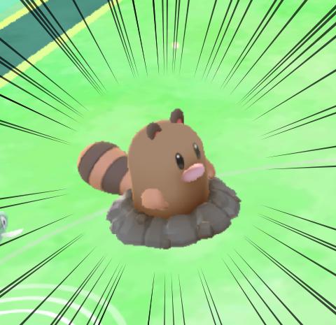 めちゃくちゃかわいいポケモンおった めちゃくちゃかわいいポケモンおった