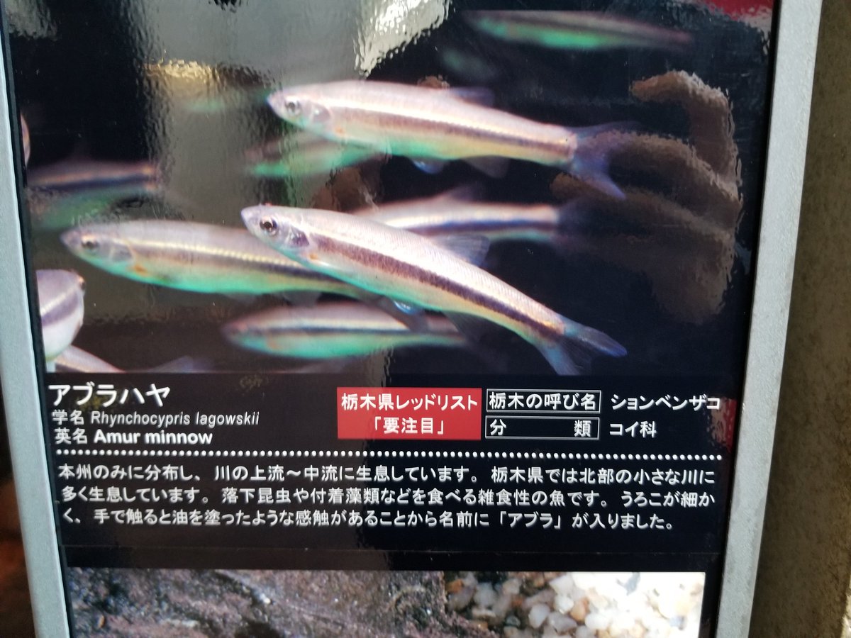 多分世界一酷い地方名だと思う 