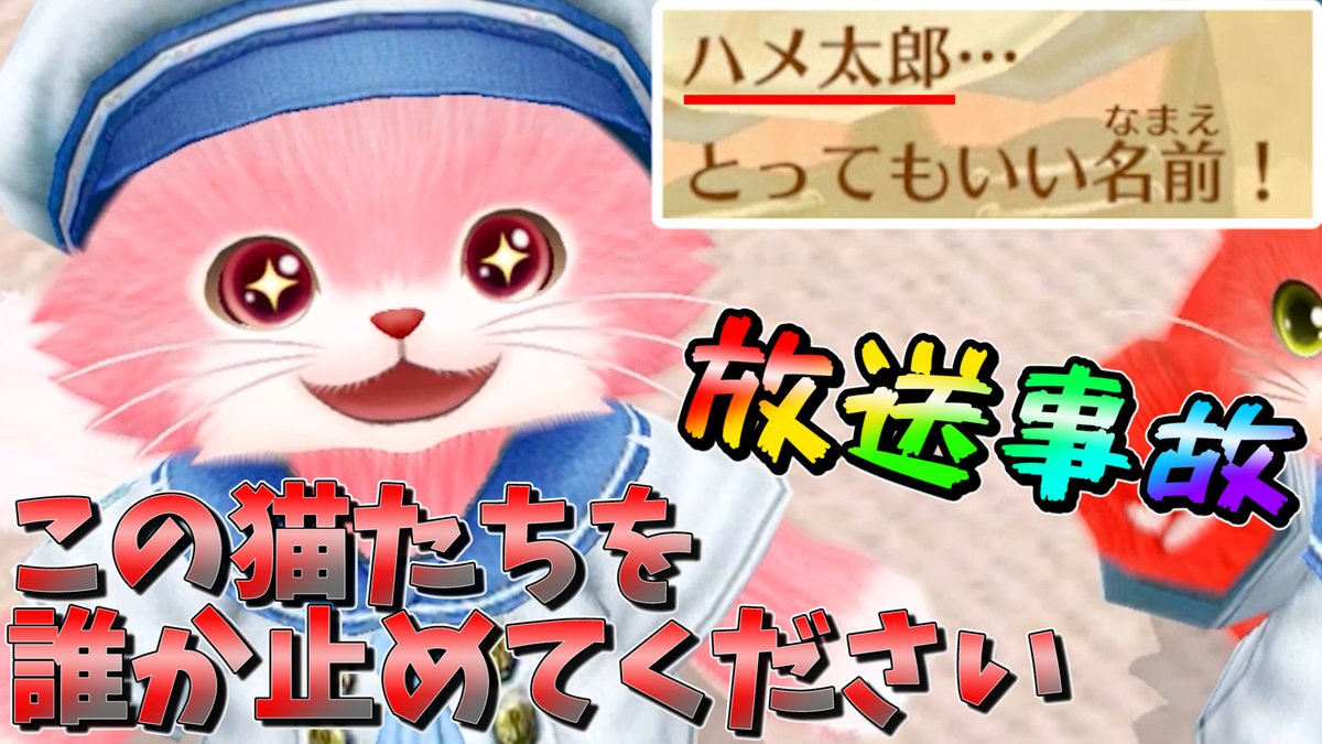 放送禁止級の言葉を覚えさせたネコと外出した結果WWW【ネコトモ】 ↓動画はこちらから