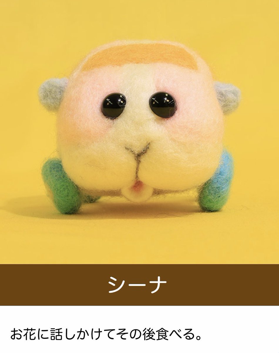 今日のモルカー、過去最高にヤバいからみんなにも絶対知ってもらいたい（シーナちゃん