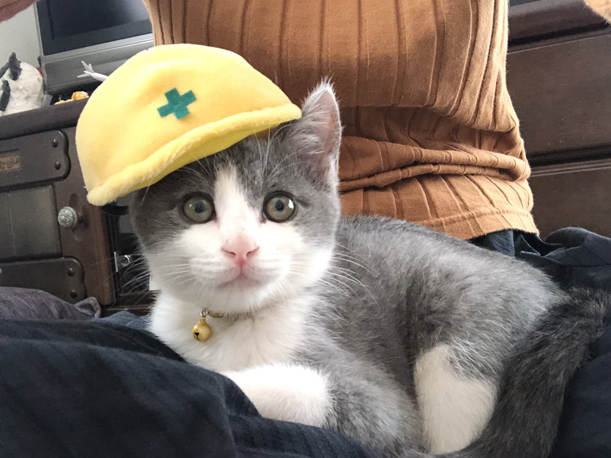 これはやらざるをえない 