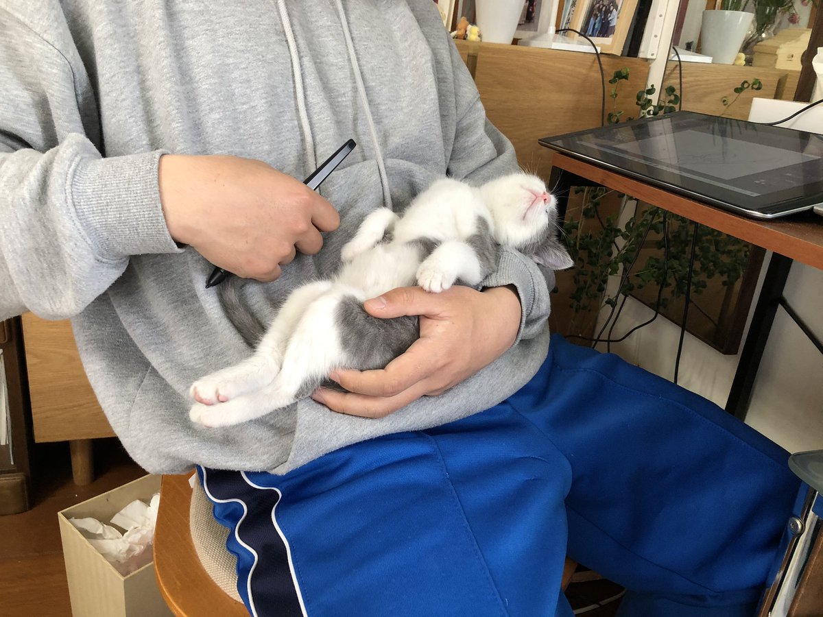 仕事いきたくない 