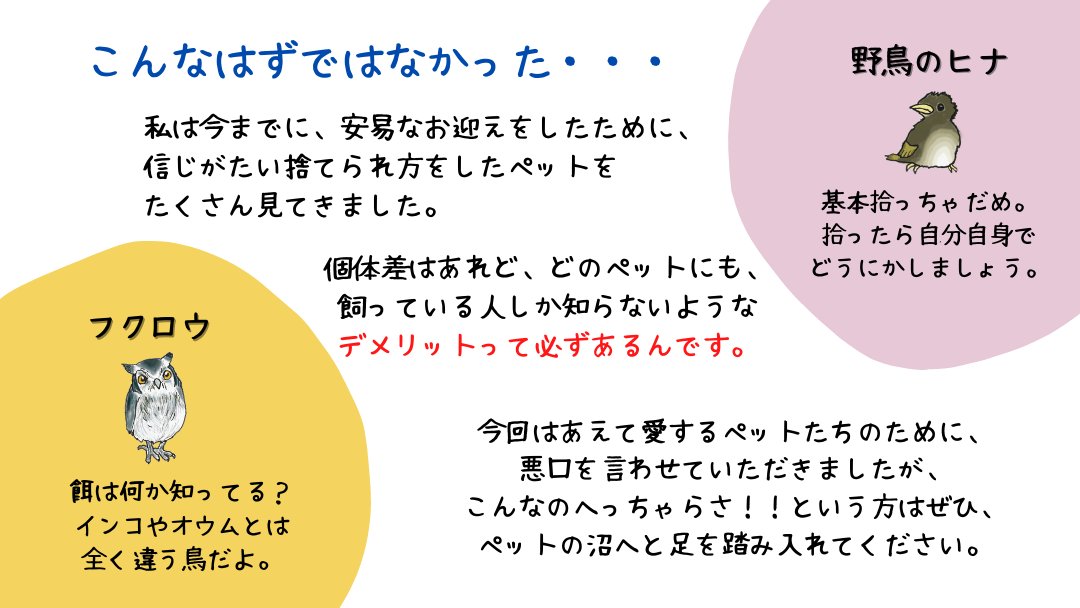 【改定版】#ペットに愛のある悪口を 最近人気の小さなペットたち