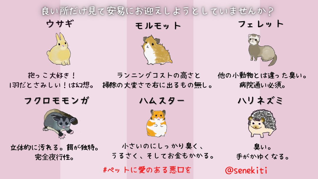 【改定版】#ペットに愛のある悪口を 最近人気の小さなペットたち