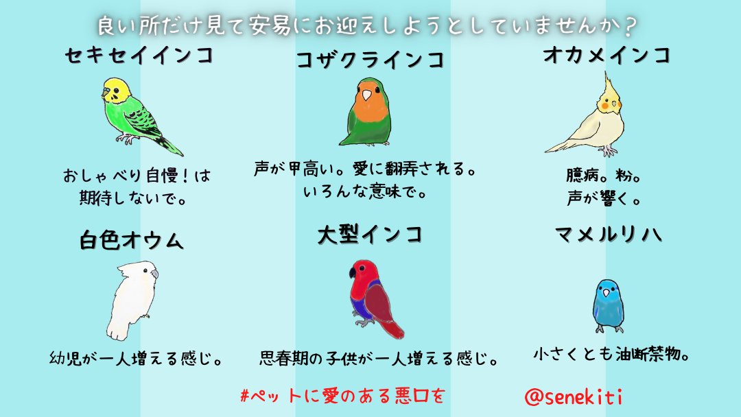 【改定版】#ペットに愛のある悪口を 最近人気の小さなペットたち