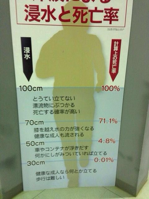 津波1mで安心してた人いたけどこれだからね...！！！(拾い画) 