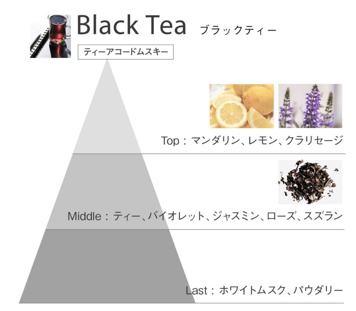   穏やかでほっと一息つけるような紅茶の香りで あたたかさと包容力、知的さが感じられる