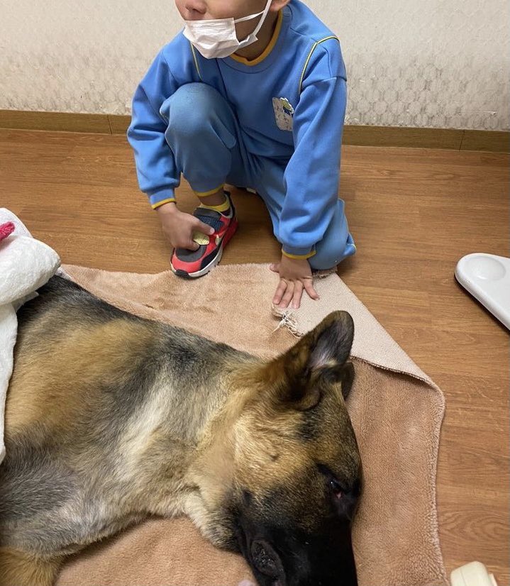 Instagramからのツイートです。 許せない！！！ 