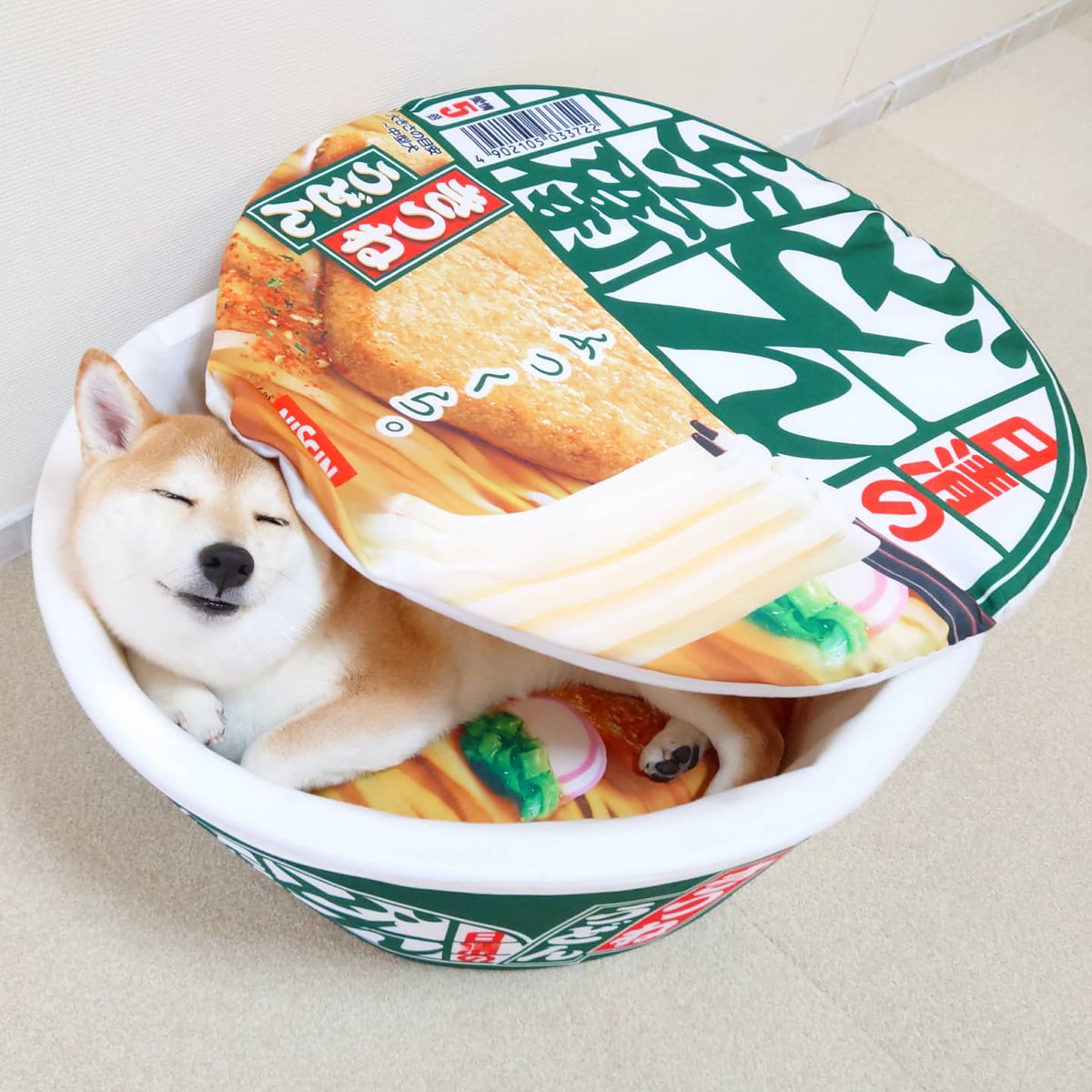 今日もかわいく入ってた😁❤️ #柴犬 　#shiba 