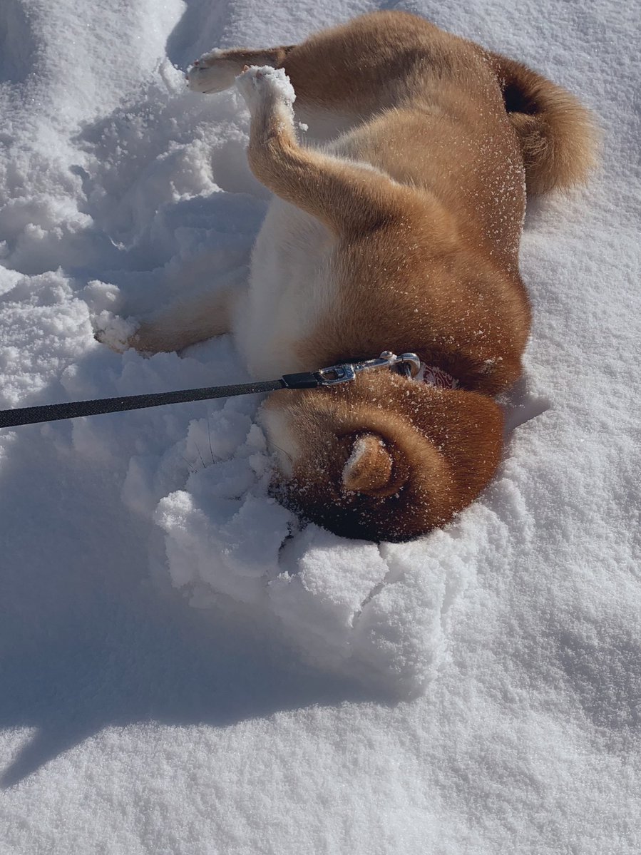 どんどん突き刺さっていく… 