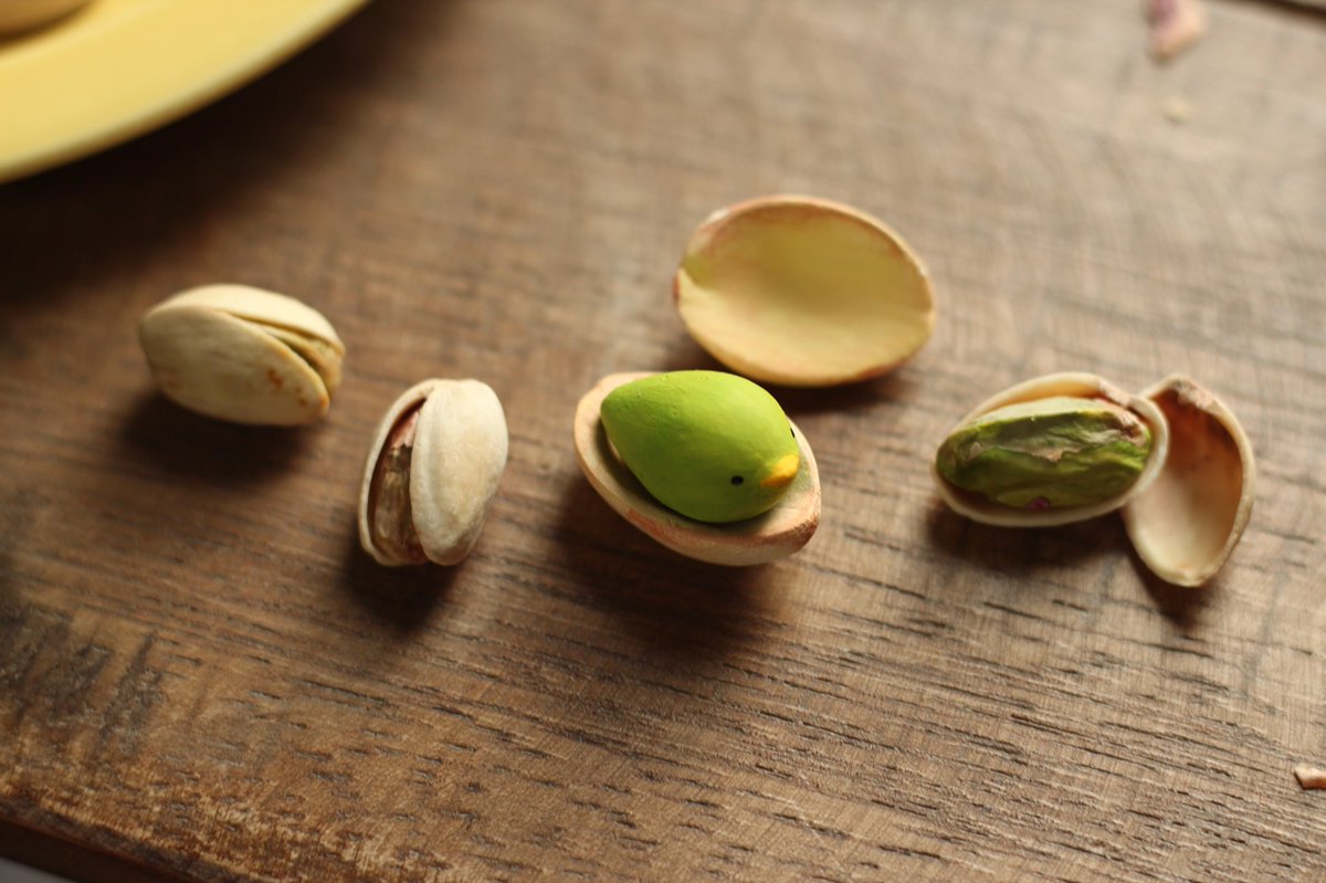 10万個に1匹紛れ込んでいるというピスタピヨに遭遇した 