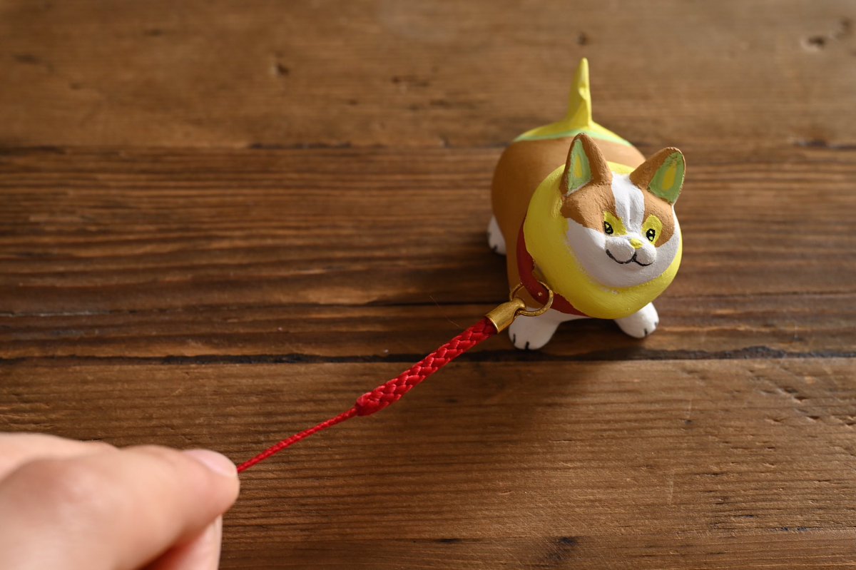 散歩から帰りたくないワンパチ 