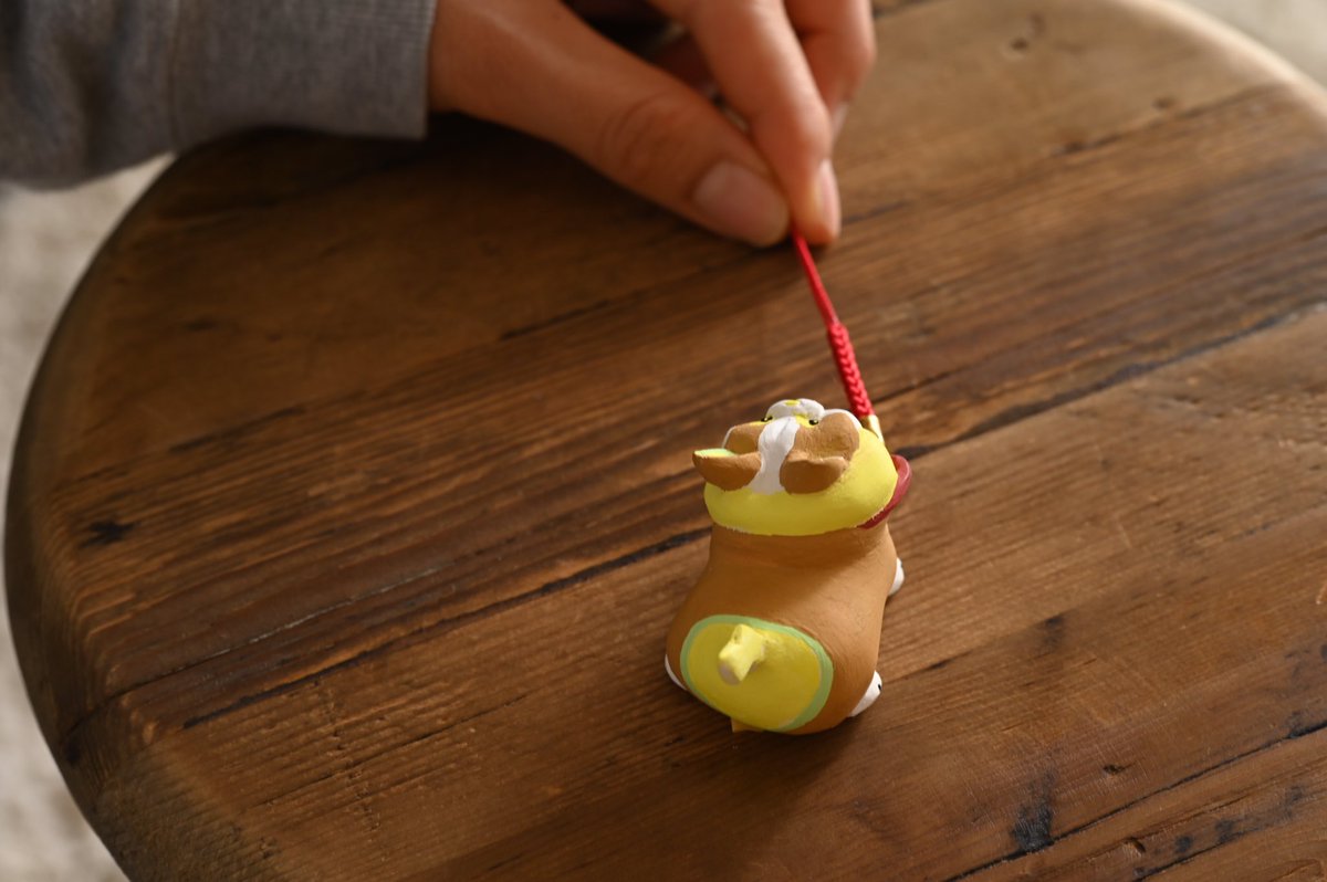 散歩から帰りたくないワンパチ 