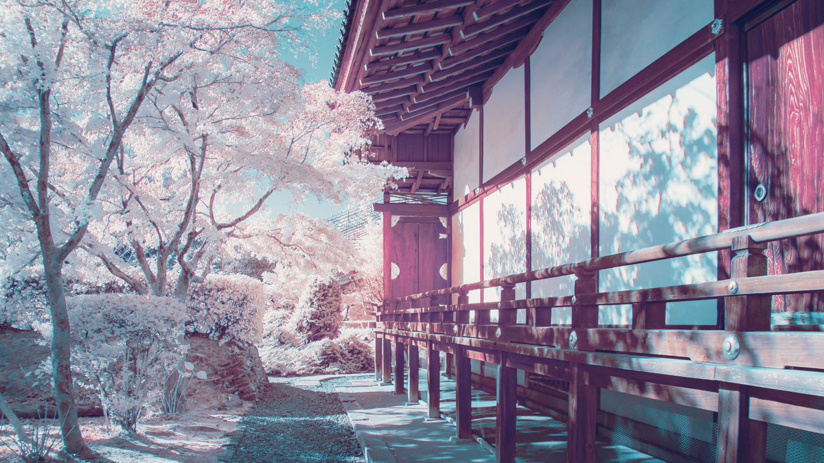 人間には見えない