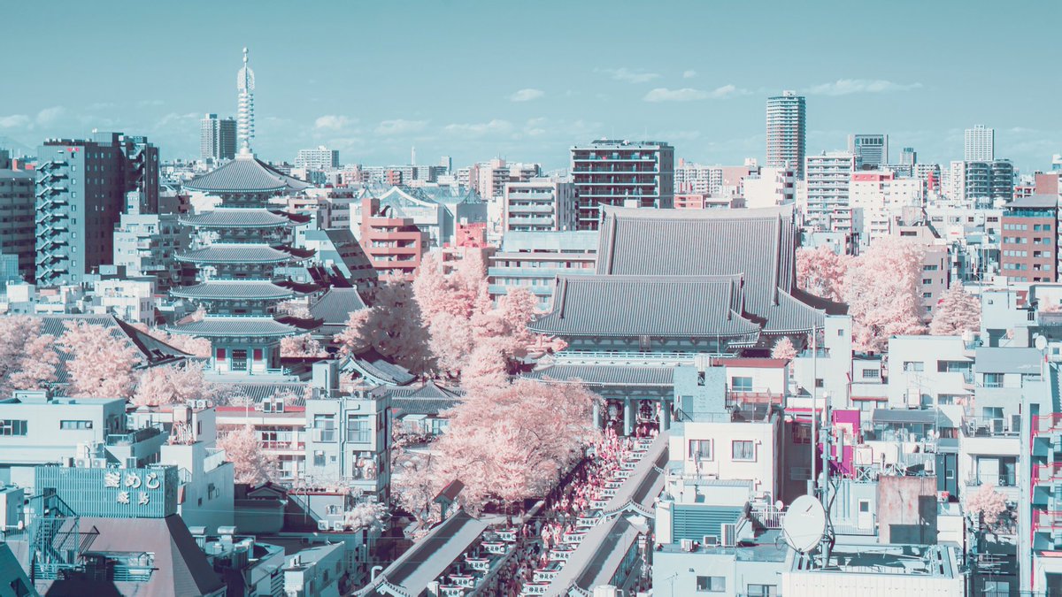 人間には見えない