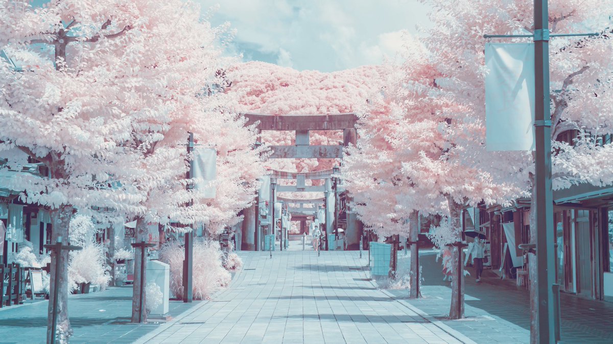 人間には見えない