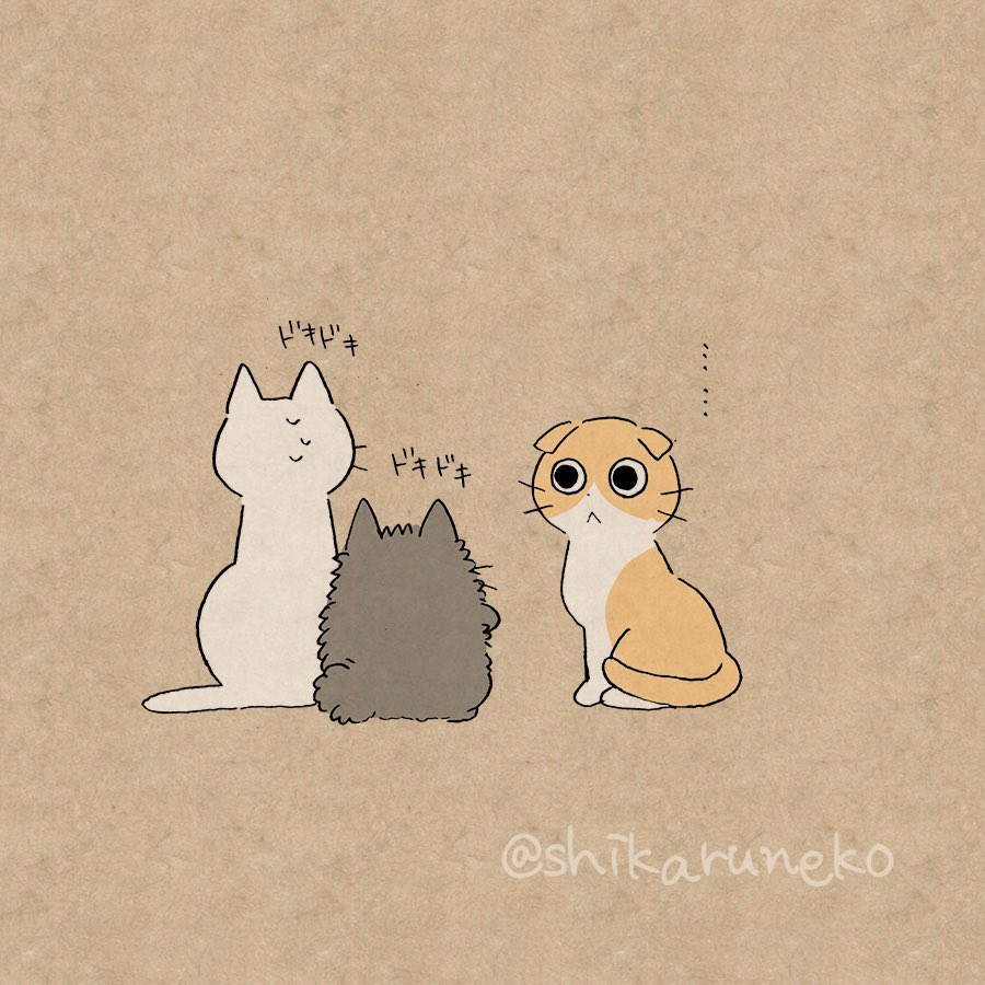 夜更かしさんと、しかるねこと、あまやかすねこと…？【その2】 