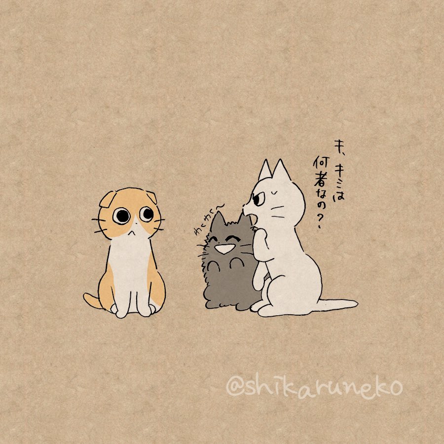 夜更かしさんと、しかるねこと、あまやかすねこと…？【その2】 