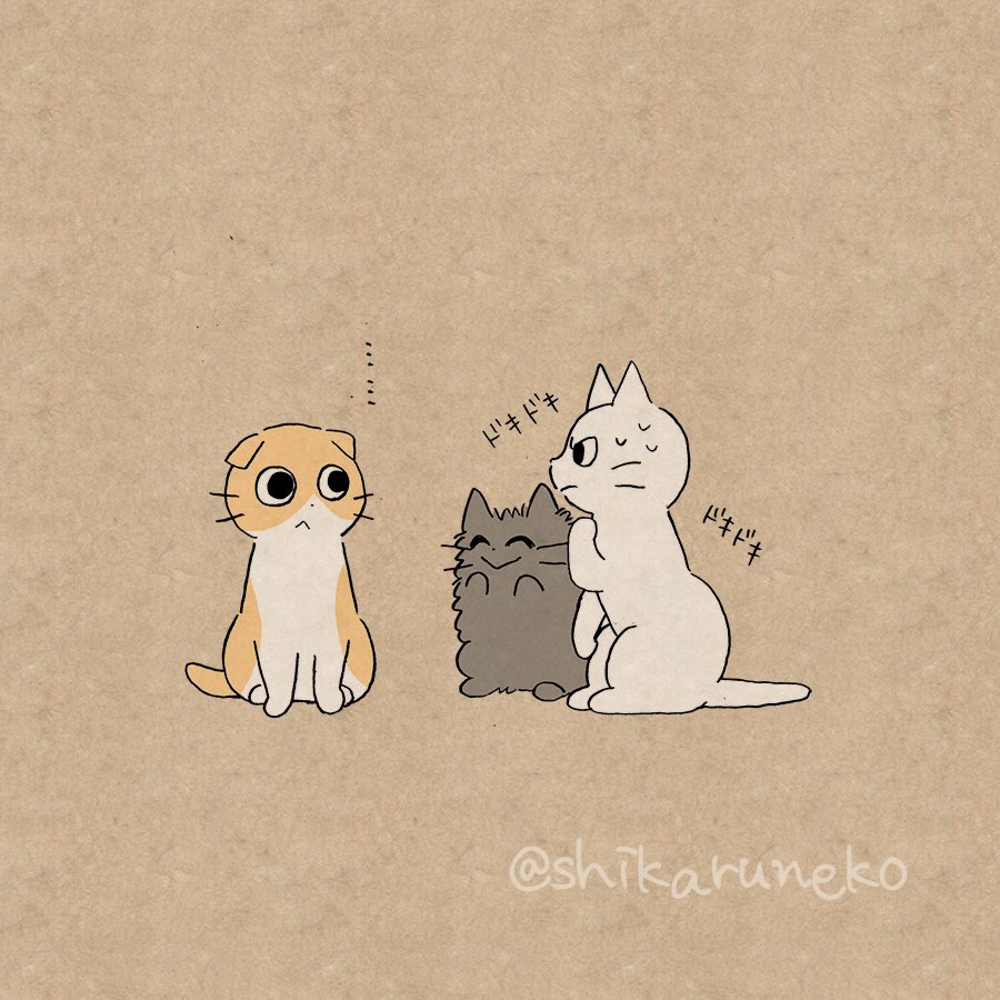 夜更かしさんと、しかるねこと、あまやかすねこと…？【その2】 