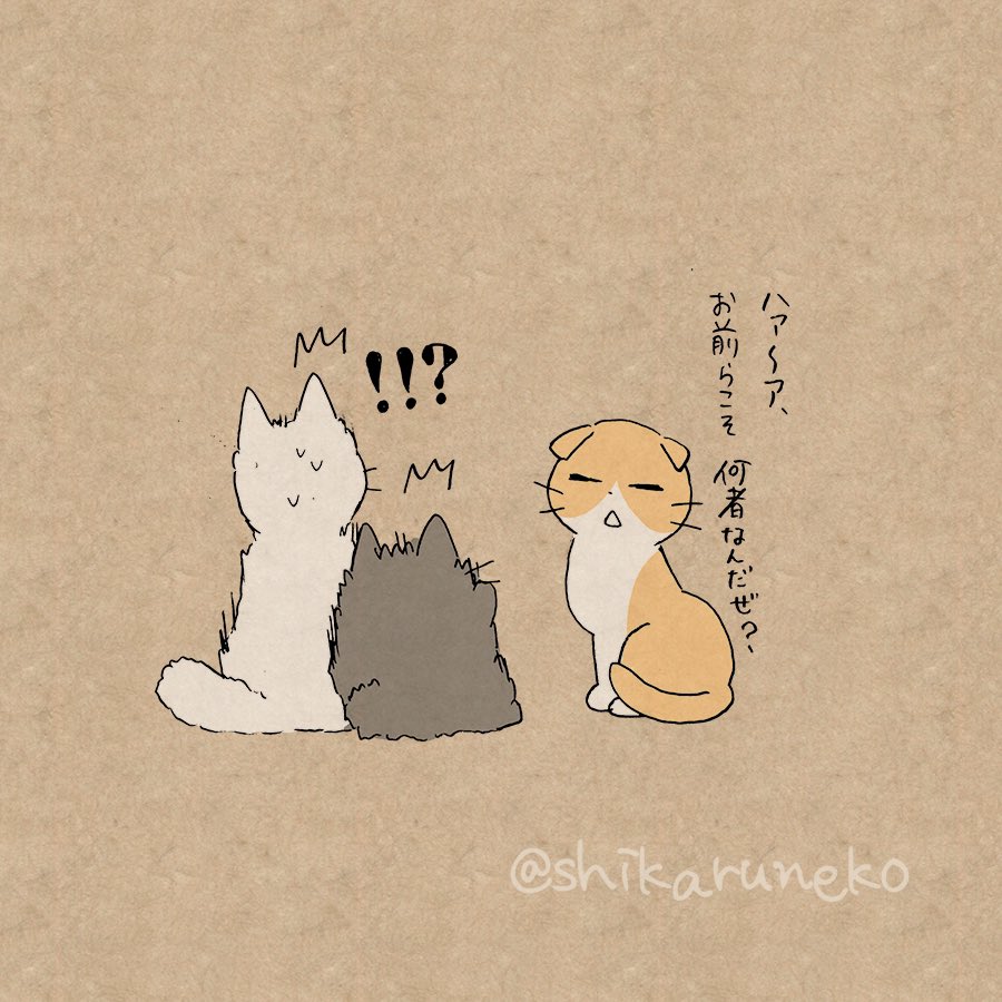 夜更かしさんと、しかるねこと、あまやかすねこと…？【その2】 