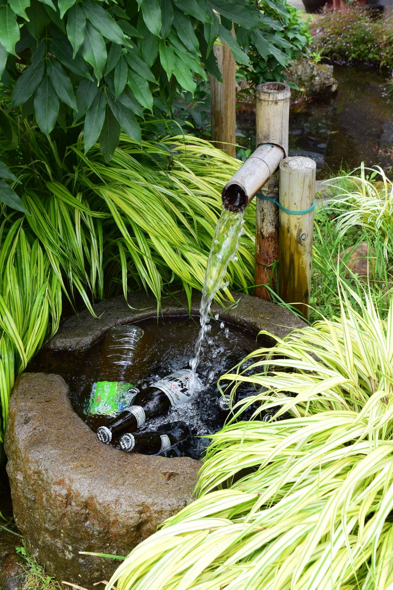 夏「こういうのが好きなんでしょ？」 