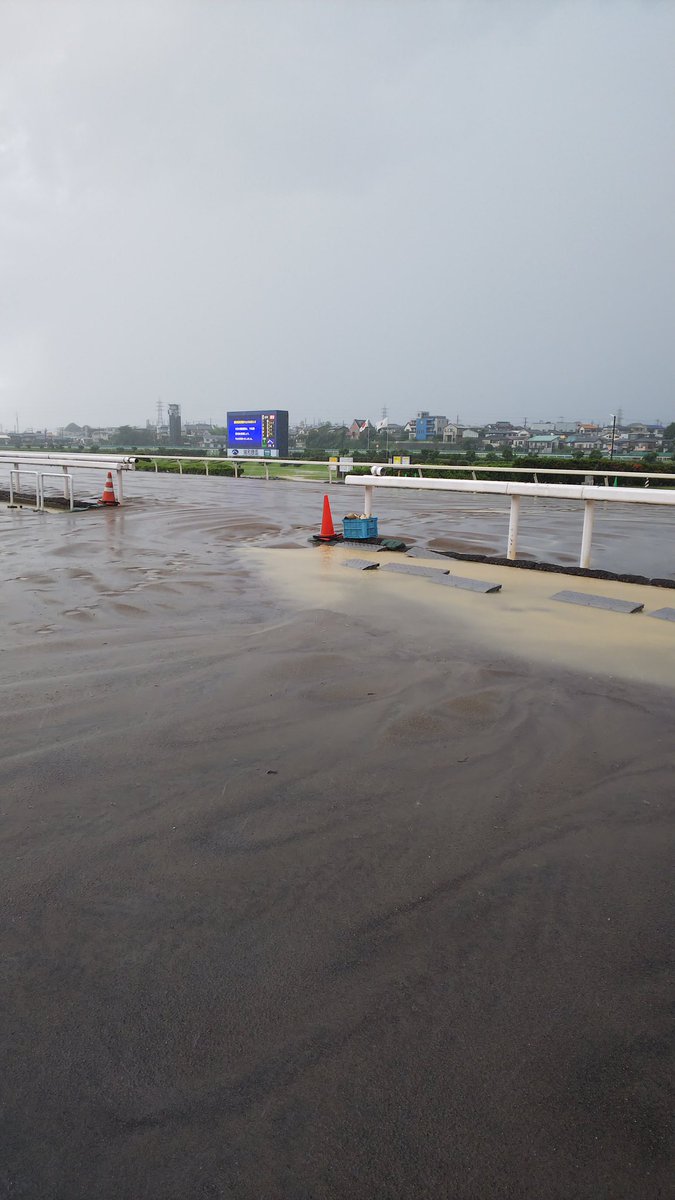 け結局7レース以降の全てのレースが中止となってしまいました😭😭😭 雨は弱くなっても、馬場状態の悪化と検体採取所の水没による中止ですかね……😭 こんなの初めてですわ……