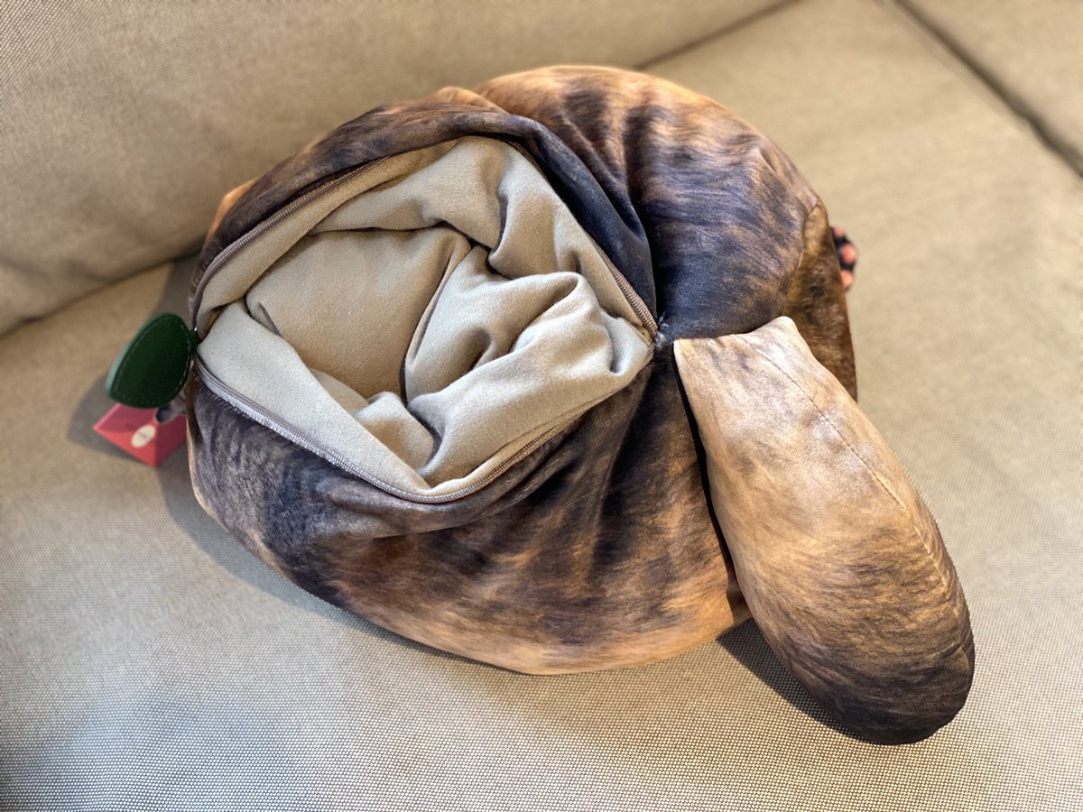 かわいいクッションが家に来ました ドロンしても尻尾は隠せてない設定がいい 