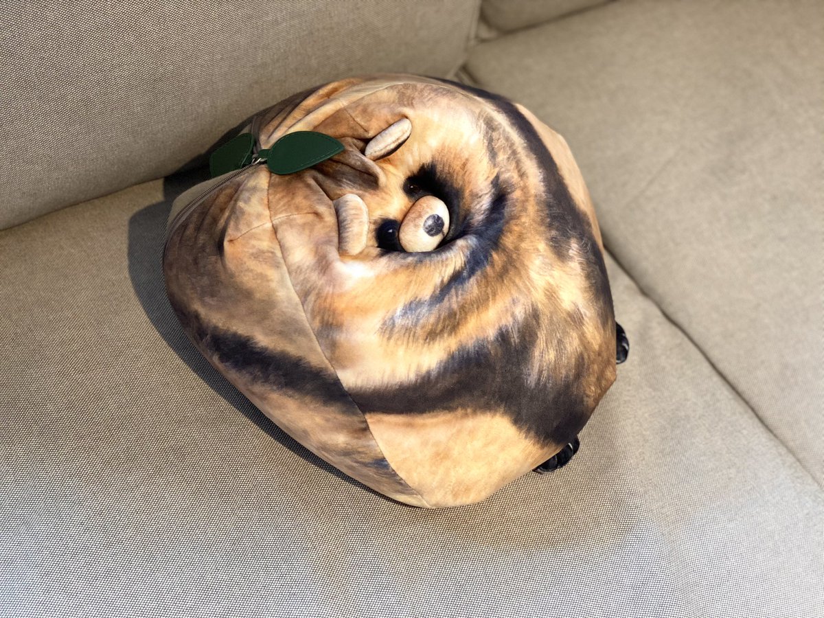 かわいいクッションが家に来ました ドロンしても尻尾は隠せてない設定がいい 