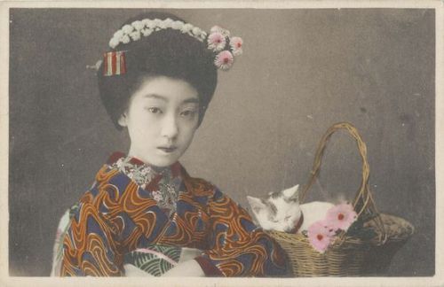 ねこと写真を撮る昔の日本人。 