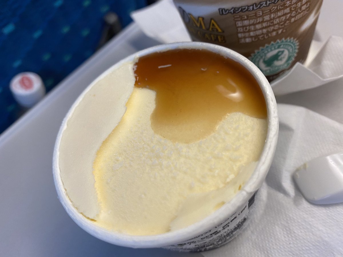 これがシンカンセンスゴイカタイアイスの必勝法、新幹線アフォガードである