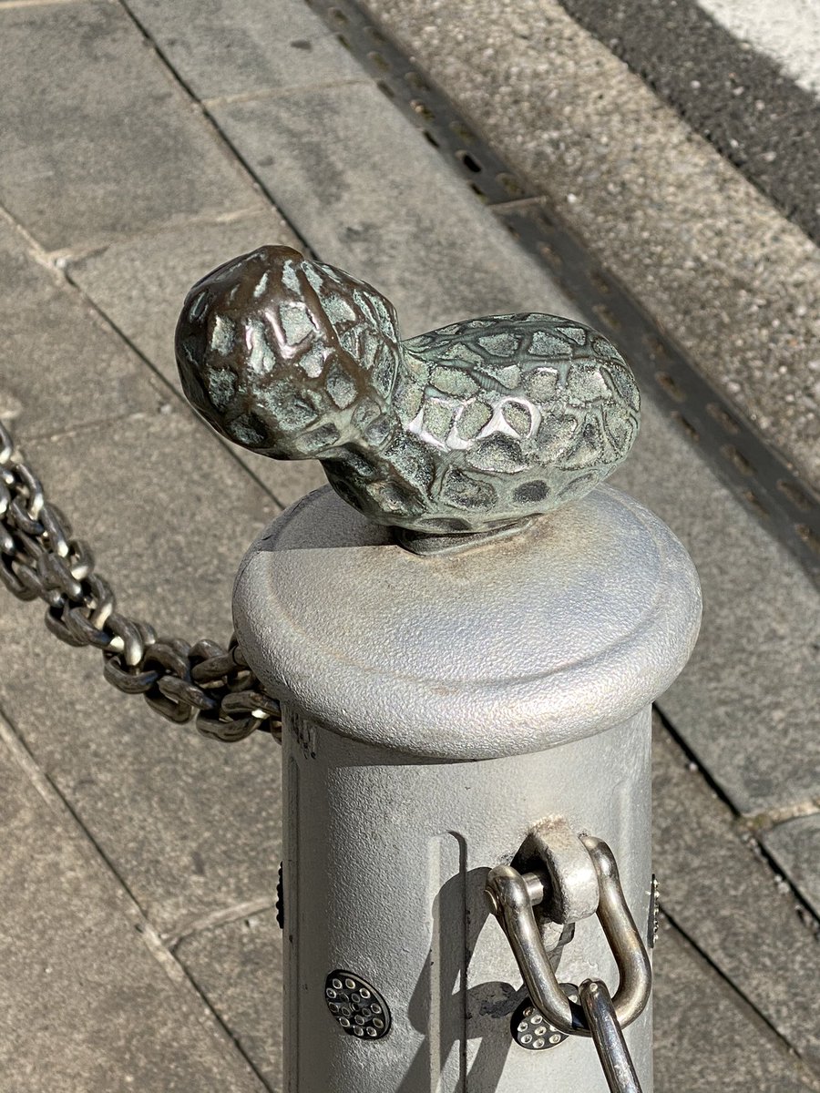 よく小鳥が乗ってるのは見るけど‥ 千葉、あまりにも千葉