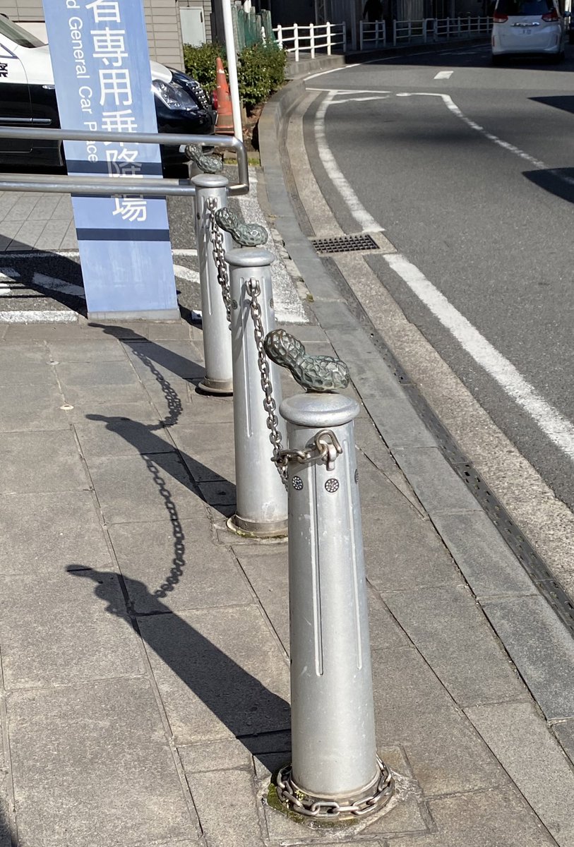 よく小鳥が乗ってるのは見るけど‥  千葉、あまりにも千葉 