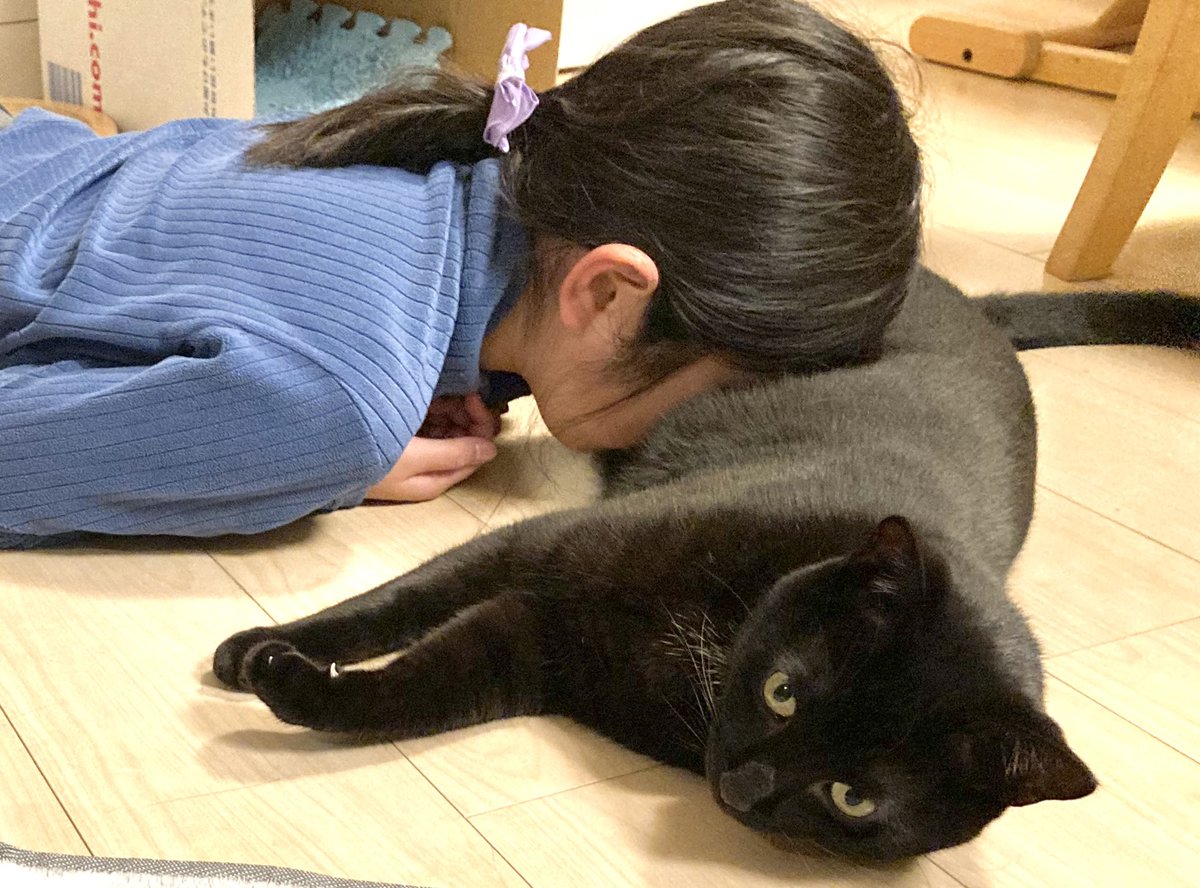 夕方娘と黒猫が家の中で追いかけっこして遊んでて大騒ぎしてたのに突然静かになったので様子を見に行った結果 