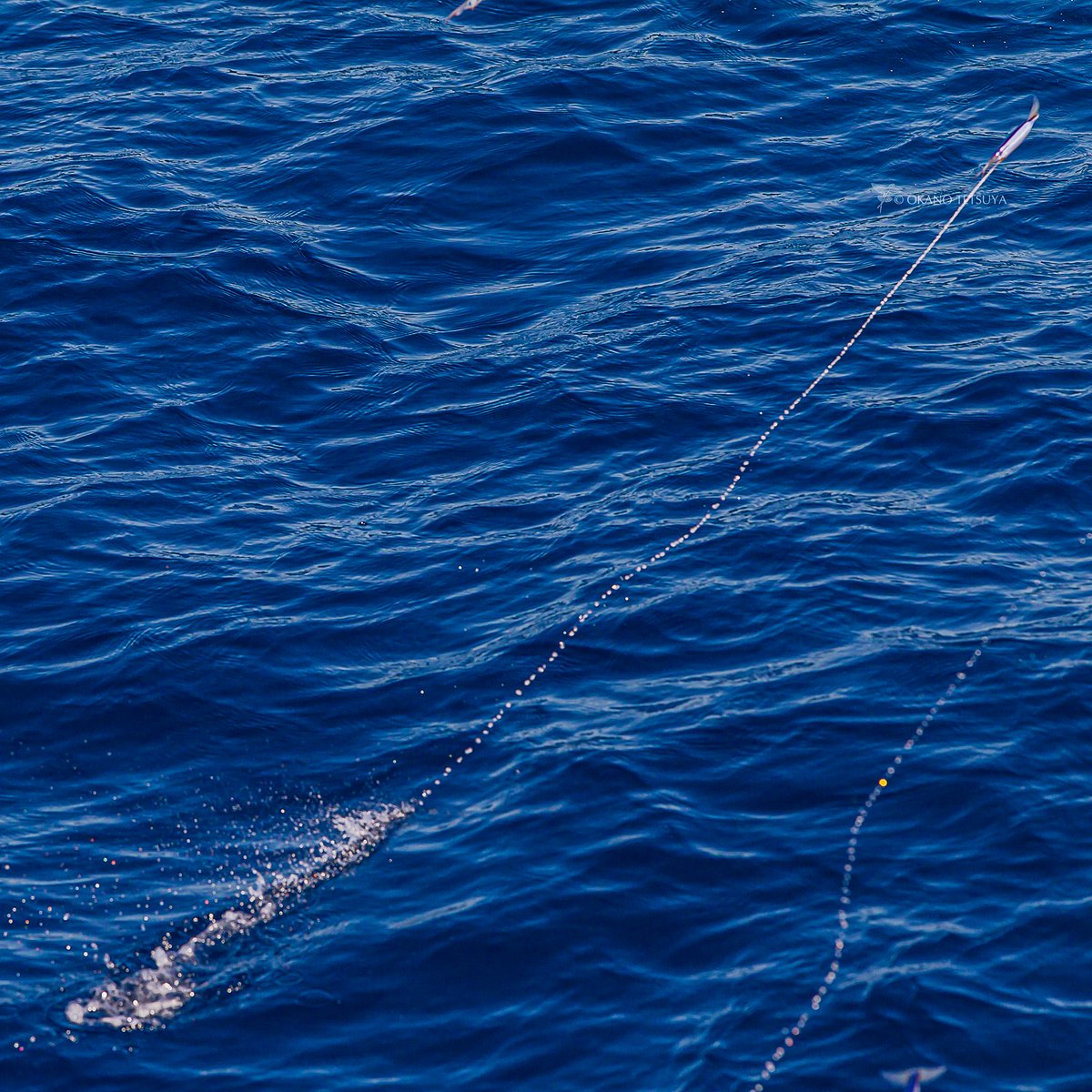 って聞かれたので・・・「ジャンプじゃなくて海水ジェット噴射で滑空しますよ