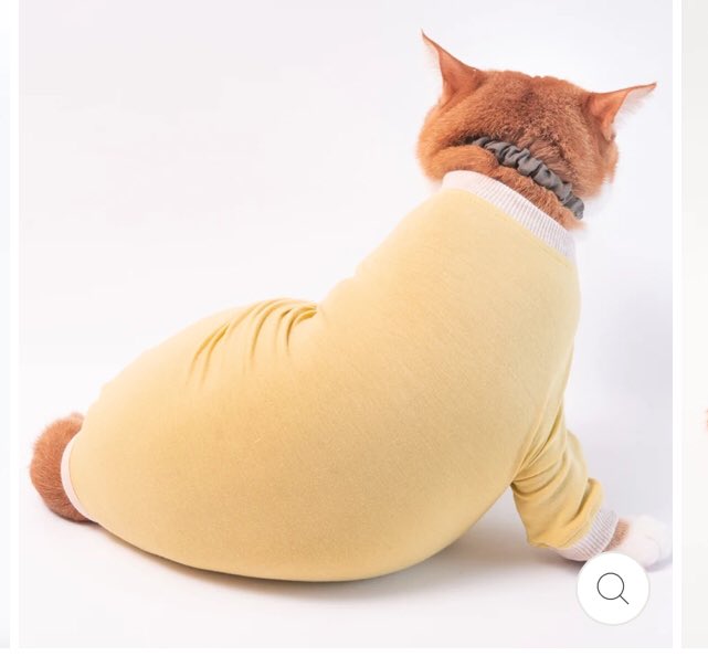 エリザベスカラーでお世話になった「ぽぽねこ」さん、ネコチャン用皮膚保護服の着用画像がもはや可愛さの暴力でつらい