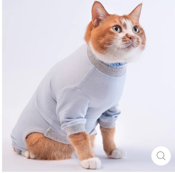 エリザベスカラーでお世話になった「ぽぽねこ」さん、ネコチャン用皮膚保護服の着用画像がもはや可愛さの暴力でつらい   