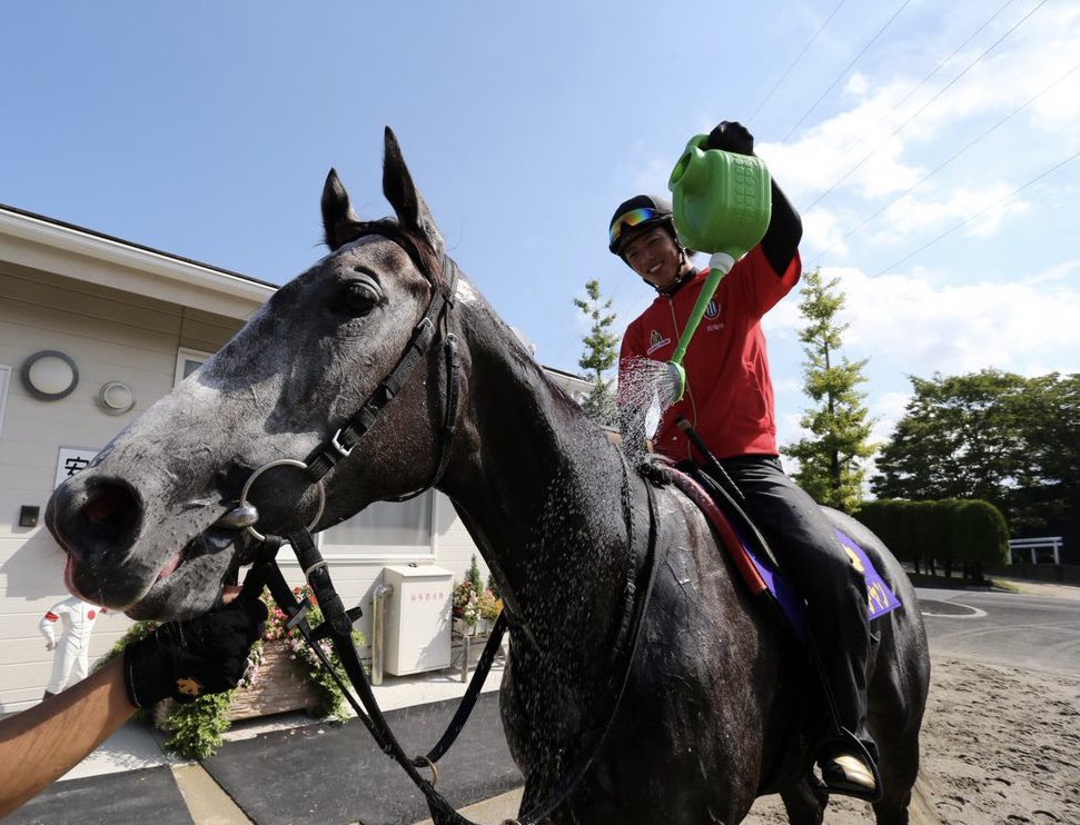 話題のウマ娘に