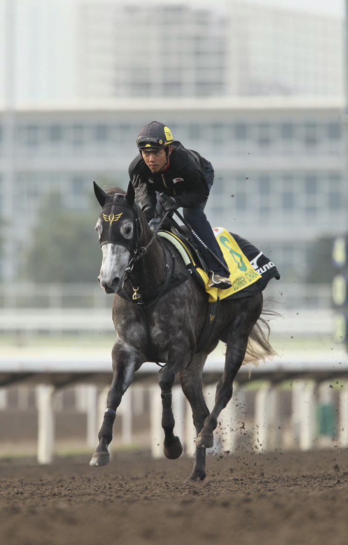 話題のウマ娘に