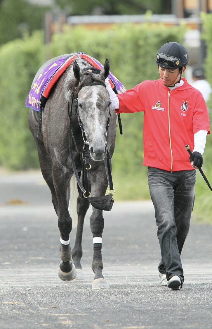 話題のウマ娘に