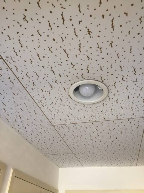 この柄、トラバーチンって名前で大理石を模しているらしい。 