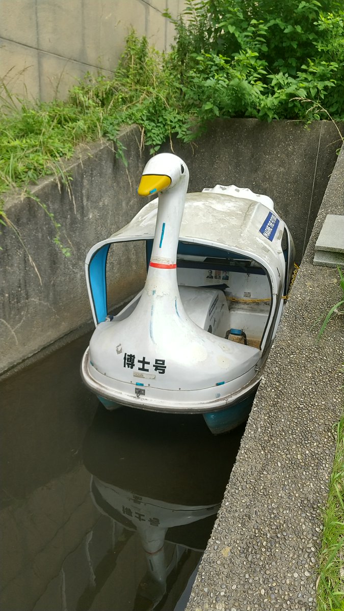 筑波大学に生息しているという博士号を初めて確認した。